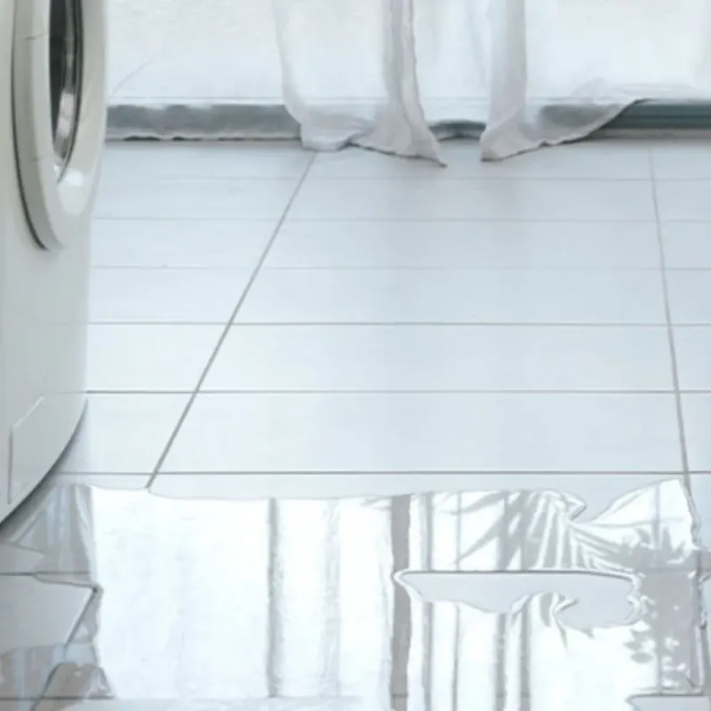 Appliance Leak Cleanup in Granger, IA