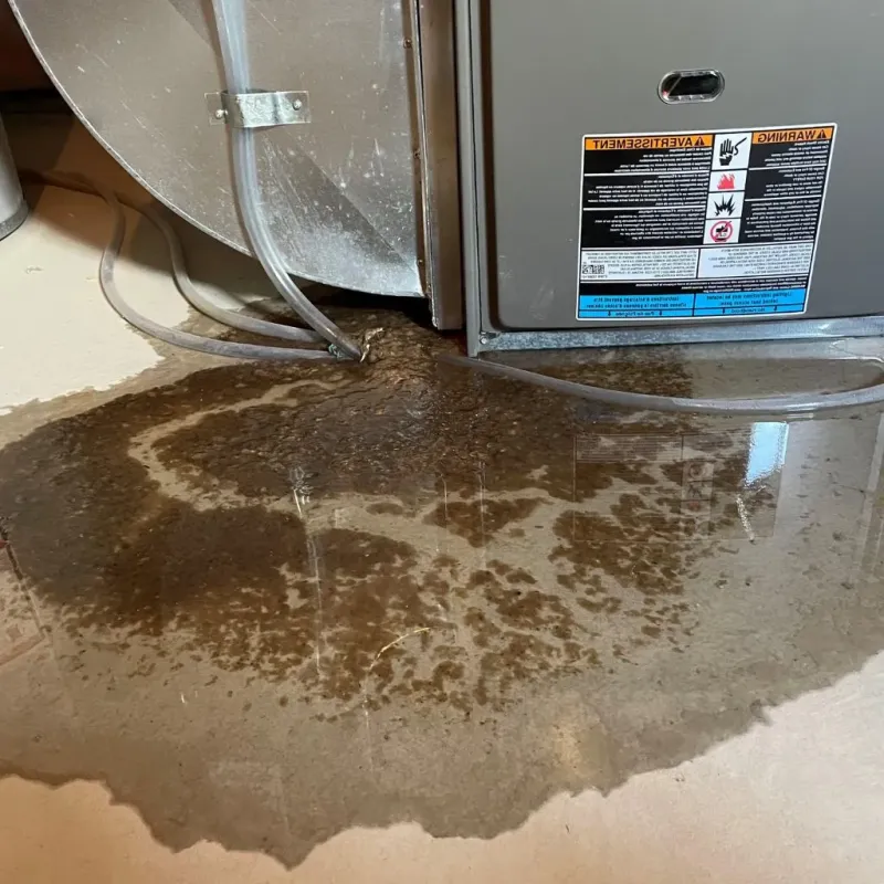 Pipe Burst and Leak Restoration in Granger, IA